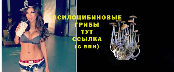 apvp Алзамай