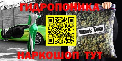 гашик Абакан