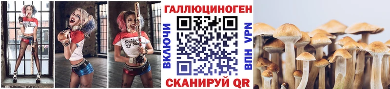 где купить наркоту  Солнечногорск  Псилоцибиновые грибы прущие грибы 