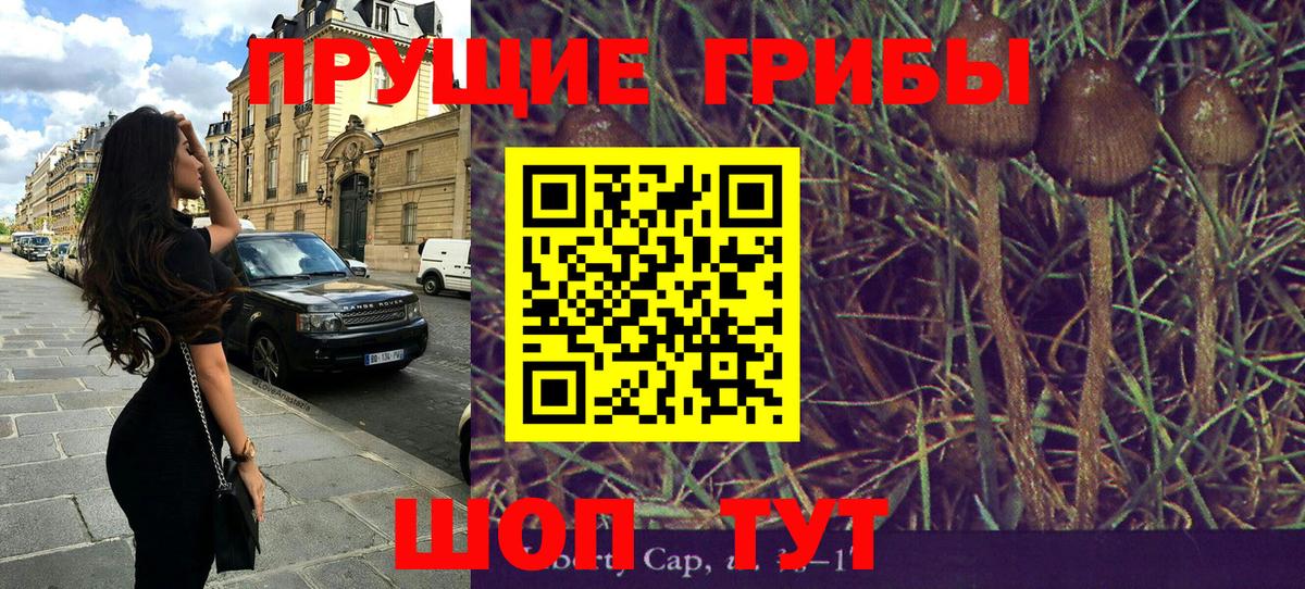 Солнечногорск  Галлюциногенные грибы прущие грибы  Псилоцибиновые грибы Magic Shrooms  Вход с VPN 
