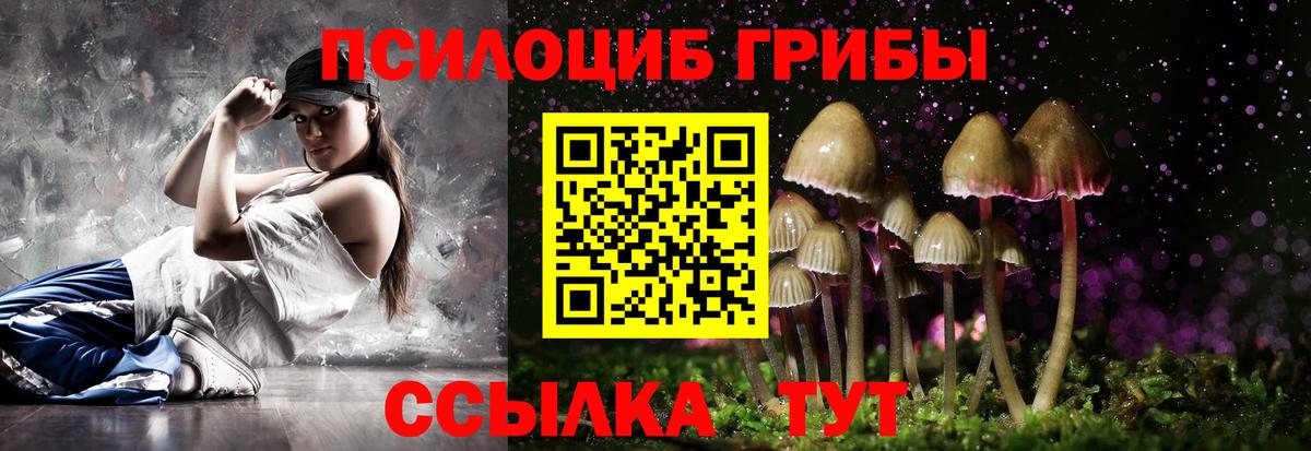 Солнечногорск  Галлюциногенные грибы прущие грибы  Вход с VPN 